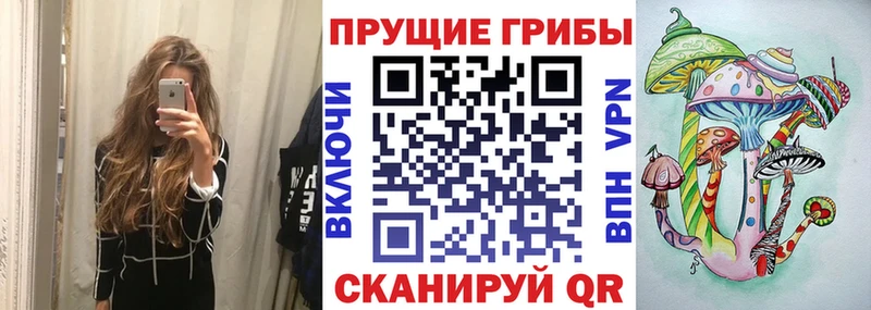 Псилоцибиновые грибы MAGIC MUSHROOMS  Зеленоградск 